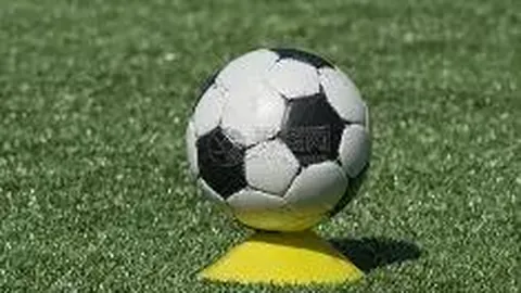 意甲：米兰1-0险胜乌迪内斯