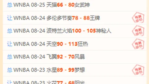 米内罗加盟巴乙塞阿拉，心情大好：2026最新攻略，助力重返巴甲联赛